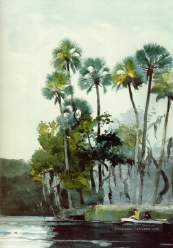 Rivière Homosassa Winslow Homer aquarelle Peinture à l'huile